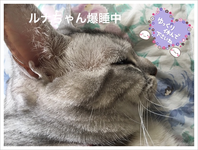 72AD27BB-F970-446C-A38F-FCC60C9DB5C4.jpeg