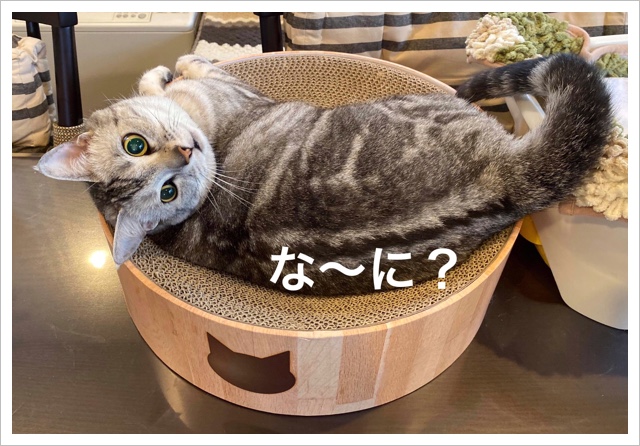 3FC4EF95-B1EE-429F-8C5D-5D8CB69084D6.jpeg 3FC4EF95-B1EE-429F-8C5D-5D8CB69084D6.jpeg
