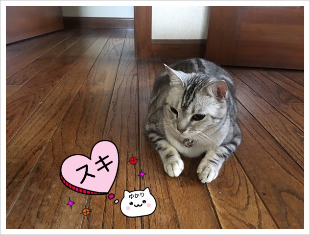 260BE21B-32F9-402E-A2FF-31B502CBF225.jpeg