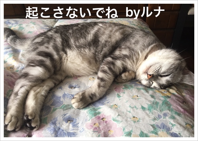 AA13F1EA-1361-40B0-BE3D-C83A051B6D99.jpeg