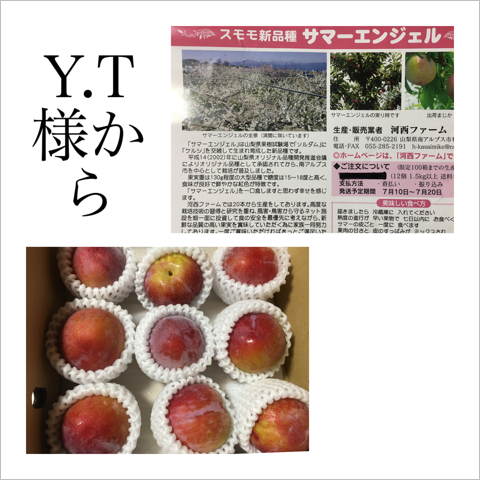 C7CDFD73-CC14-4E32-B238-2D15288CC189.png