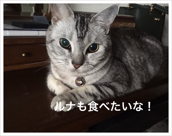98CACBC0-9A9A-41FC-9C8B-9AE69CE68338.jpeg