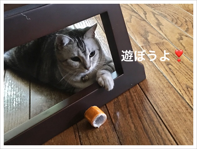 AADDF1B0-A394-4D23-9B35-658DEBBC2CF5.jpeg
