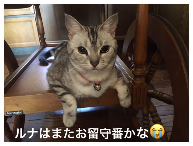C6D6F3B1-2FF3-4C78-8C8A-4A3DC38A1045.jpeg
