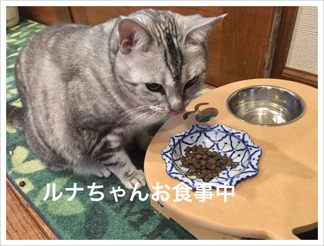 3FD2C9F3-51A3-4333-8113-56E89BFFC922.jpeg