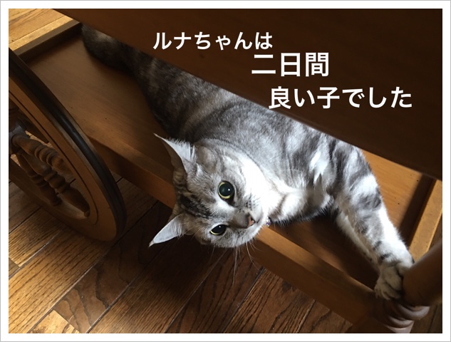 CC62A914-7093-4549-8883-2E6A4BF103F6.jpeg
