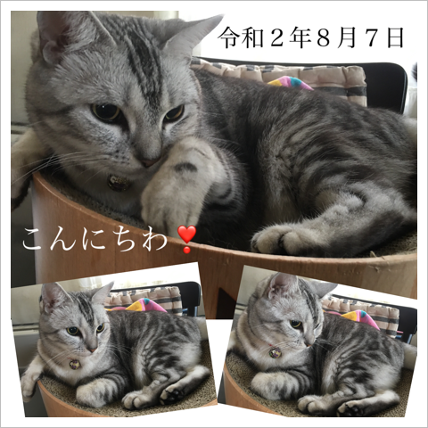 DC667F10-A16A-4246-8C9B-34E7F008ACD8.png
