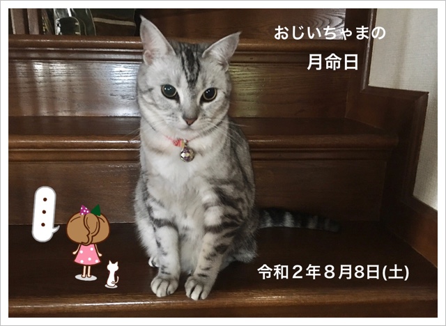 105420EB-1609-444C-AEC9-59D1370A6021.jpeg