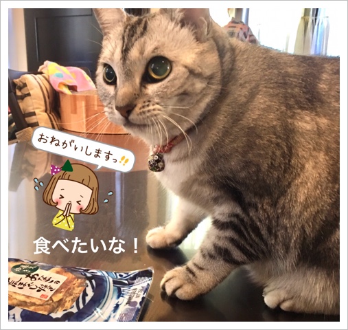 13D5BB8E-E2D0-4637-A1AA-3278EFC06E6A.jpeg