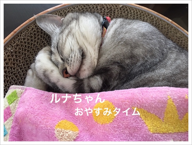91913ADF-AFBC-4FBD-8429-E473C775FB58.jpeg