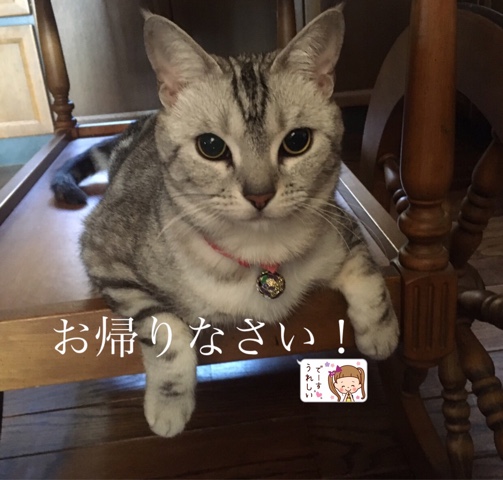 6F6A2873-A54C-4EAB-AD9A-4F05990D2B83.jpeg