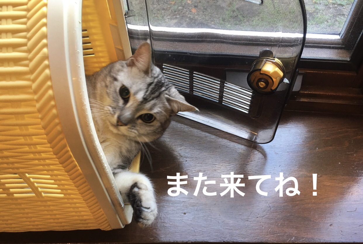 165AA82C-9F36-4F59-BC3A-A98662A6B928.jpeg