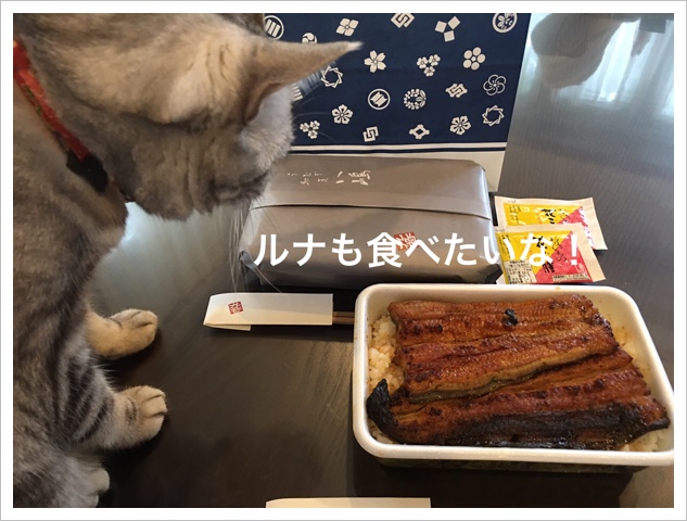 9576C445-B722-476A-903D-2F1D66A94C5C.jpeg