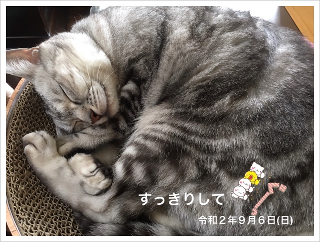 6E1A3132-5411-4223-85AE-B5D1A435DB75.jpeg