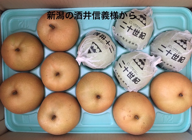 8AEFF1EA-7ECA-426B-96EC-E561D78A76C0.jpeg