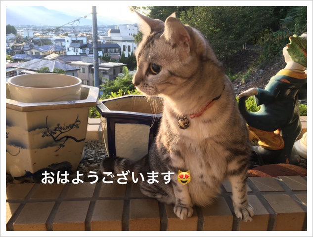 7846E0AA-51FE-4A1D-905A-27DBFCE4622D.jpeg
