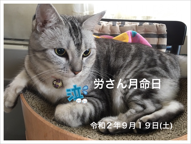 AB433402-3B8C-4476-A483-A70E8C3F7CDD.jpeg