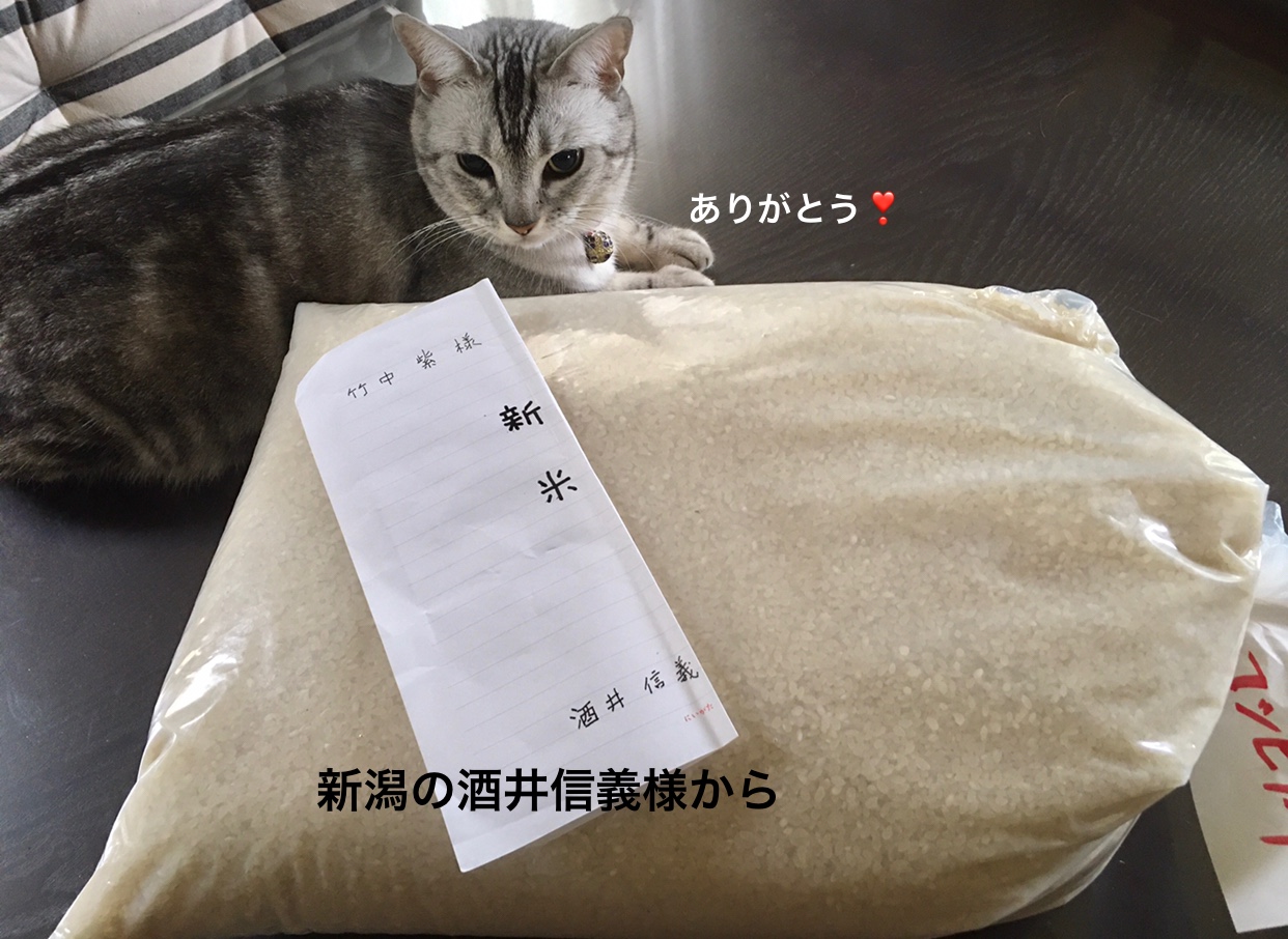 8C829014-1D5C-41B0-A0F4-57BE1C70466E.jpeg
