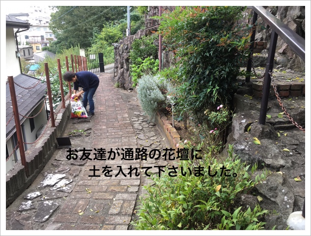 C850A4F0-8070-49DE-9D72-11520785A83B.jpeg C850A4F0-8070-49DE-9D72-11520785A83B.jpeg
