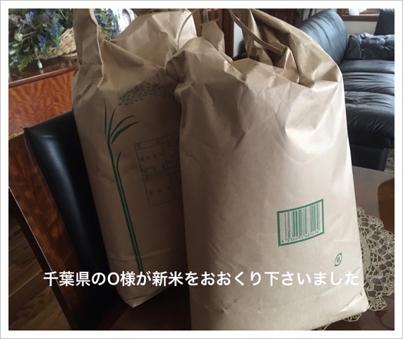 2B0D886F-3DE6-4C32-9F12-1D8B57ACEC2C.jpeg 2B0D886F-3DE6-4C32-9F12-1D8B57ACEC2C.jpeg