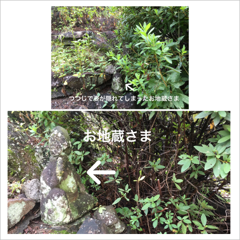 C815E696-4111-4B98-B72A-94E80D57EB80.png