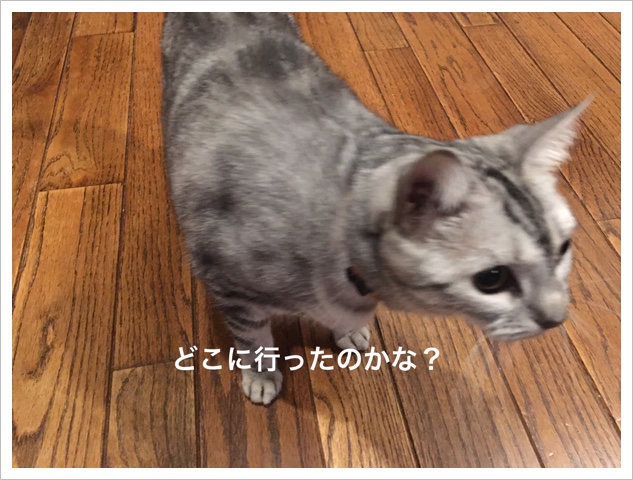 2AEA65CD-321F-44FE-83B7-ACBBAFAAD913.jpeg