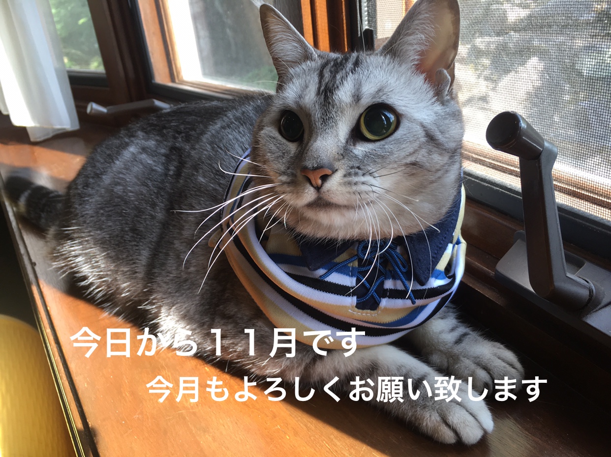 29B85F85-8CED-413E-8FE8-F1429EEA7F6B.jpeg