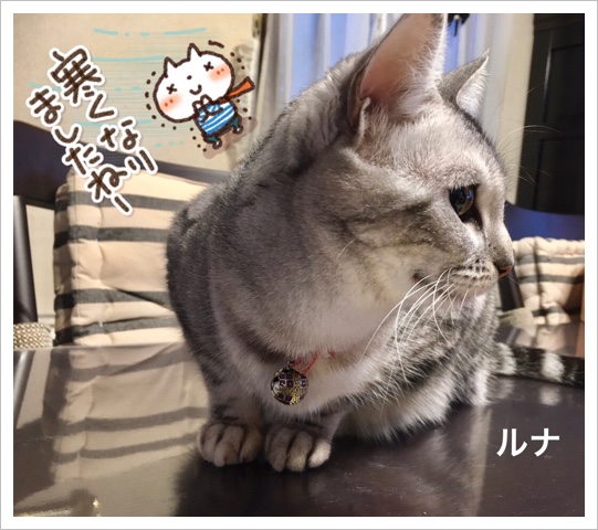 FB4A12A5-625E-4425-81FC-071705D2E88E.jpeg