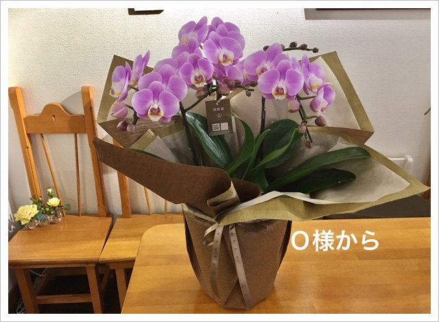 B5F9399C-4E7A-49E5-8F50-2487AA92A18B.jpeg