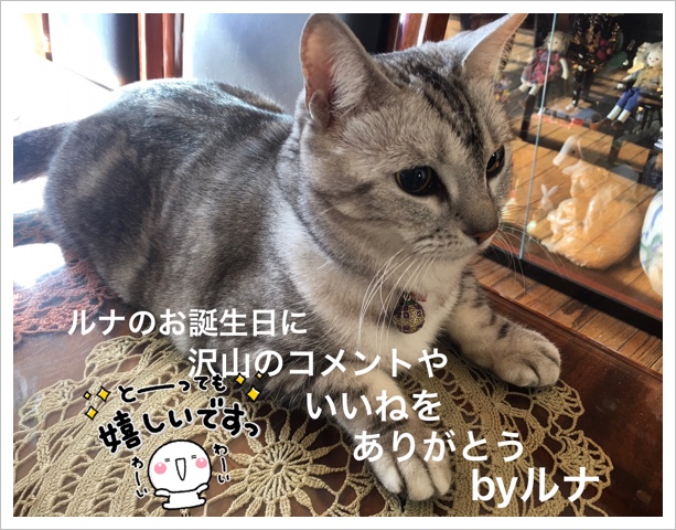 7A391628-7FFA-4938-A6E4-09815DD5C121.jpeg