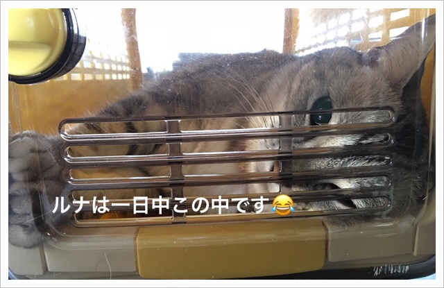 57DBDA3D-A998-4787-90C9-CCFEE8E24131.jpeg