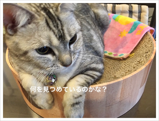 9C217074-FB6F-41EA-86BE-47BFFC99C7BF.jpeg 9C217074-FB6F-41EA-86BE-47BFFC99C7BF.jpeg