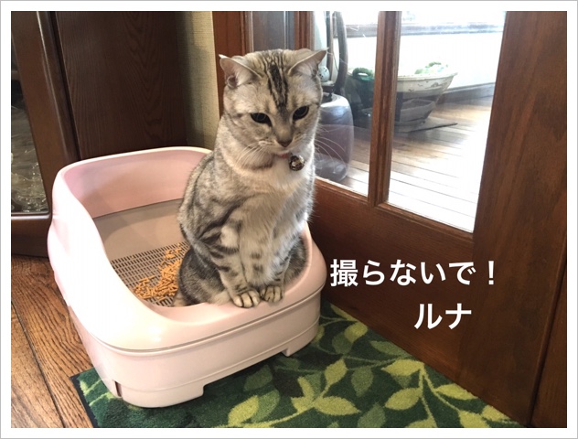 1843F9B4-511E-446B-909A-5188B4C1A2FF.jpeg