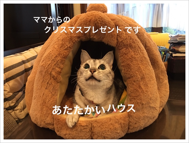 63D9B798-F703-44E9-832D-4675C62CAFBA.jpeg 63D9B798-F703-44E9-832D-4675C62CAFBA.jpeg