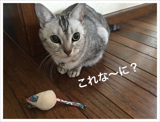 464FDDA8-6C6B-42C0-A7CF-96A224C983D9.jpeg 464FDDA8-6C6B-42C0-A7CF-96A224C983D9.jpeg