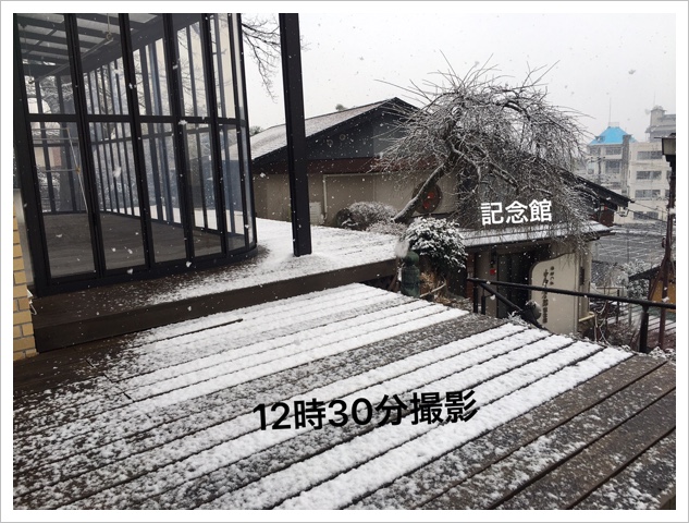 59AE3136-01E5-4B51-96A7-C890C1A6AAD7.jpeg