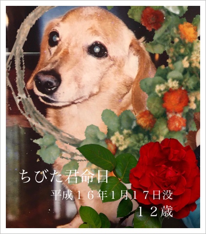 125479AD-C57C-48AF-88CD-3A3277A33D1C.jpeg