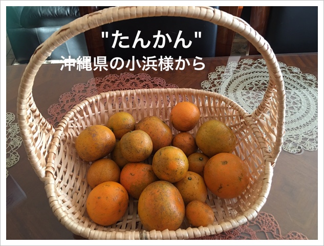 󤫤