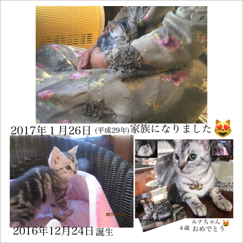89A06289-D20E-47D7-B751-00EF41A1A7BB.png