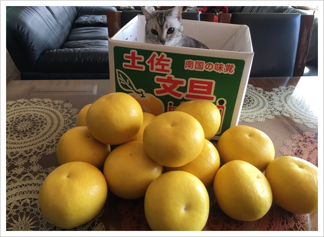 CE9EF5F3-6A1F-4420-A884-D73BAEC7484C.jpeg