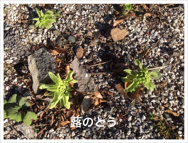 13CE77C3-A69A-42C3-AB7F-8D6F5EF6ED76.jpeg