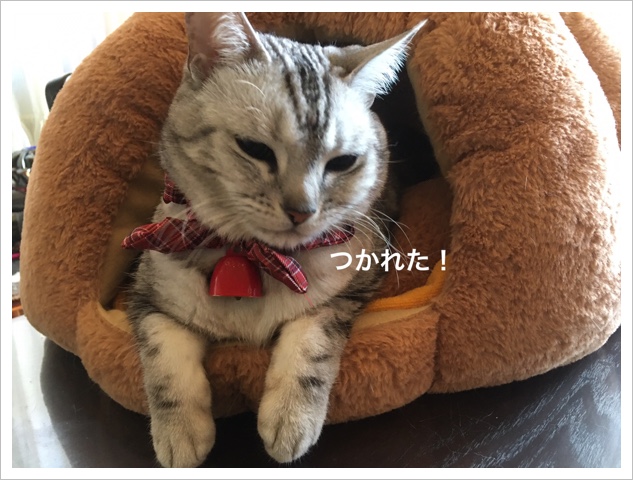 5C4ACBE6-2B66-40B0-BBDD-7CFE9598A9AB.jpeg