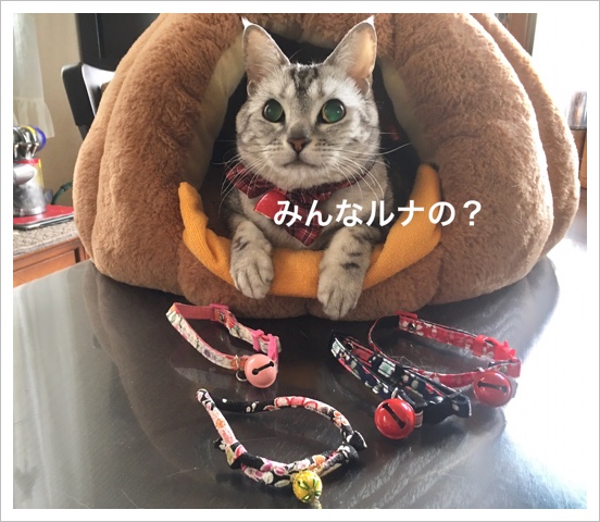 6D3A1E50-5120-4540-87BE-CDE489989203.jpeg