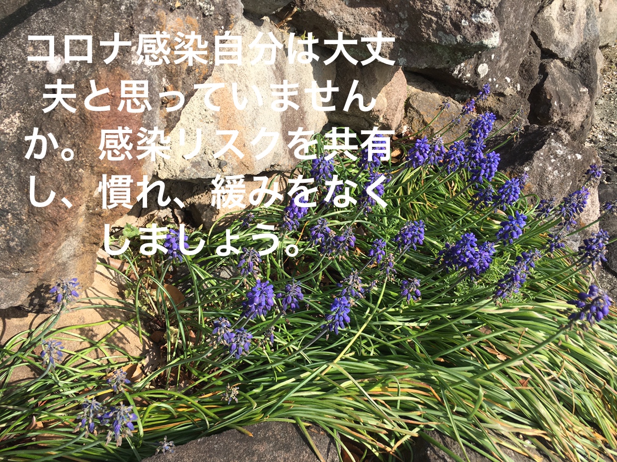 09655A23-2C7D-4134-BAE1-1E572EC2D9B8.jpeg