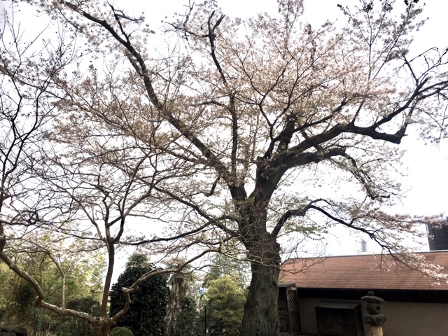 D603BEB8-21BC-4903-A7C8-D1751A81017D.jpeg