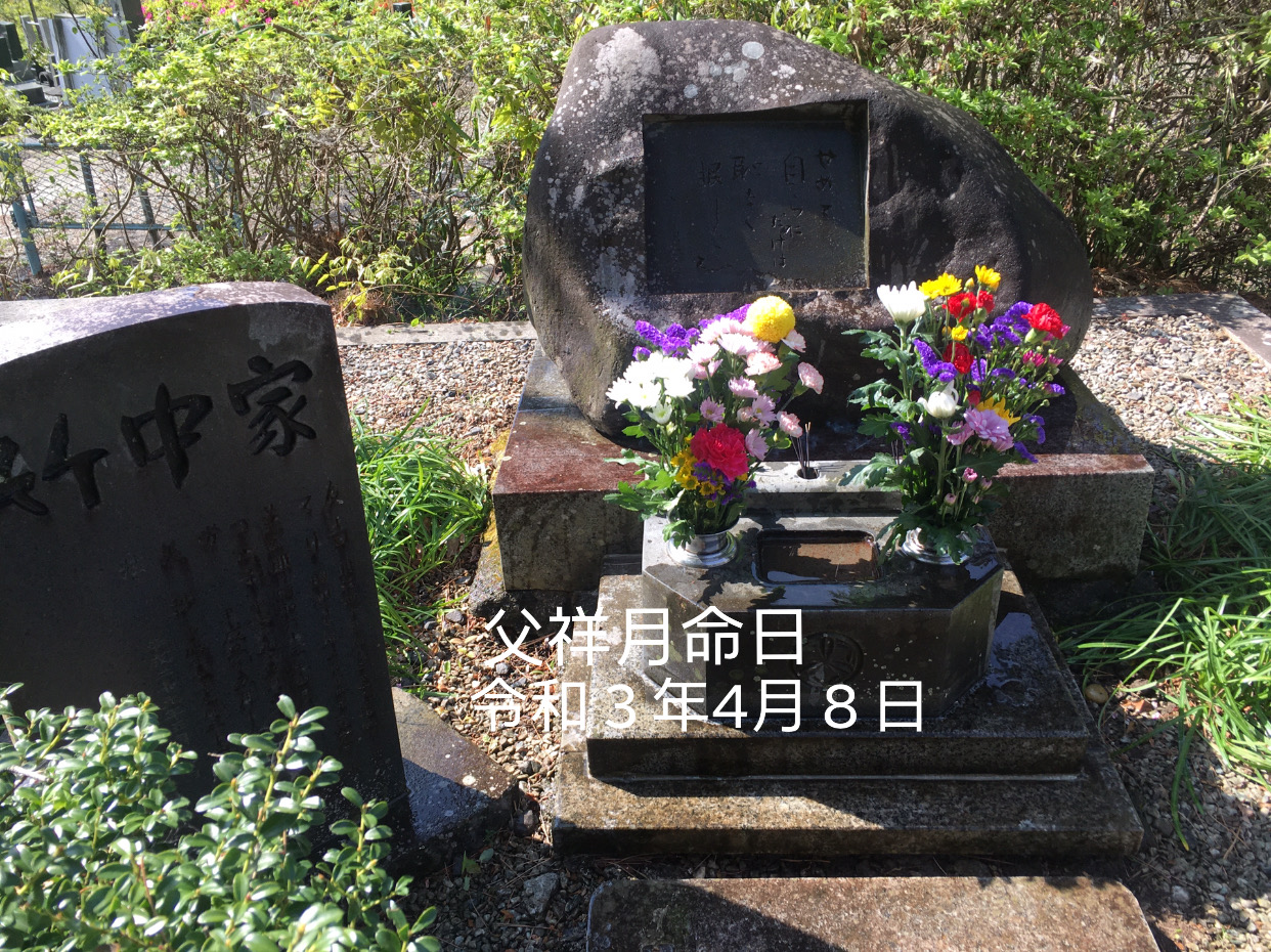 8B12152B-9666-4D17-A578-DAE7E5C6DE1F.jpeg