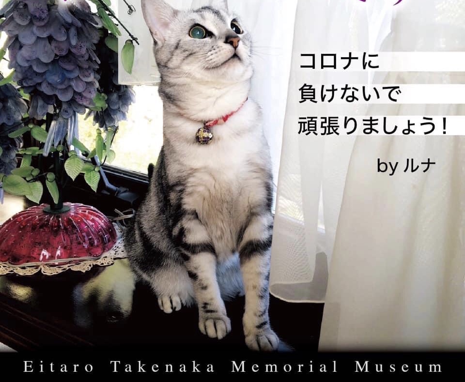 D89BF075-F2E7-4A34-9471-0967DE1CECC8.jpeg