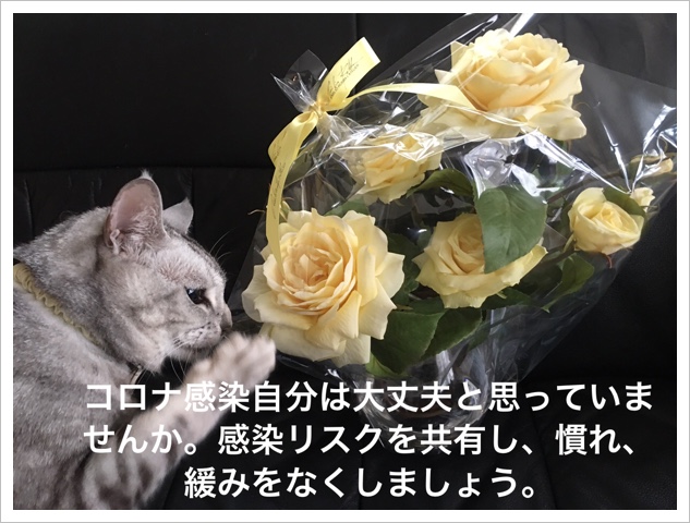 6CAB4CFC-8A23-4609-92DB-3CC1B20BAA8A.jpeg