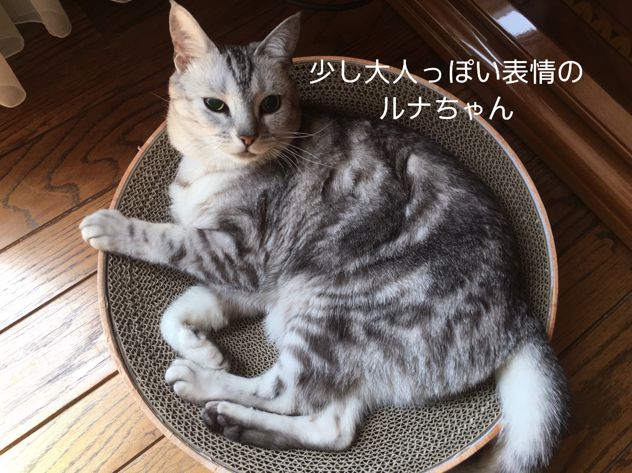 D80AA2C5-66C6-418B-A34E-C3FA5AFAD115.jpeg