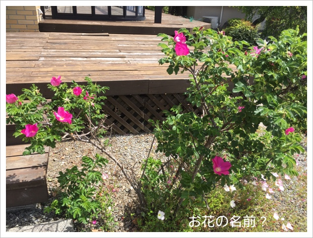 EC110B7C-BE2B-4BDF-AFFD-CDC24E475A16.jpeg